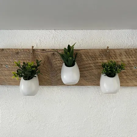 Pavillon Climatise 4 Personnes 25m2